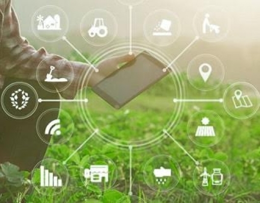 CPQD e Embrapa lançam iniciativa para a transformação digital de pequenos e médios produtores rurais
