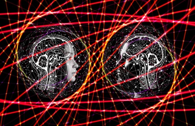 Solução Sinque usa Inteligência Artificial para monitorar o peso sem medo