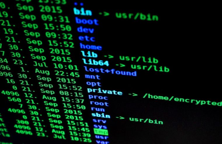 NAVA lista dicas para pequenas e médias empresas se protegerem de ransomware