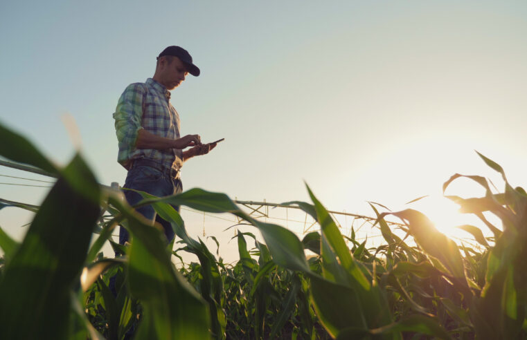 Com o dobro de precisão dos modelos tradicionais de previsões climáticas, ferramenta tecnológica auxilia agricultores a obterem mais produtividade no campo através de um planejamento mais assertivo