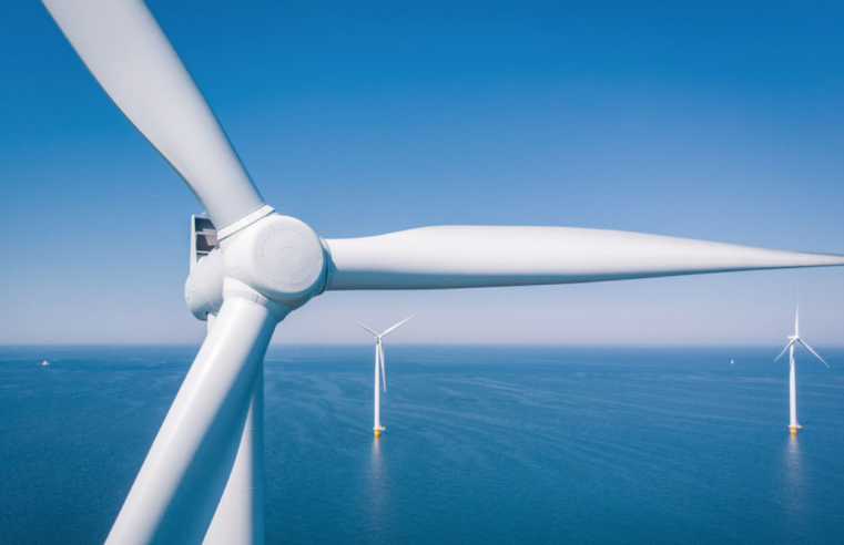 Com potencial de 1,2 GW, mercado de energia eólica offshore atrai empresas e aguarda decreto federal no Brasil